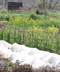 ̨���ĺ�������Ŀ�����ܹ�ע��