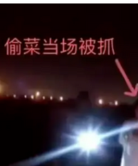 �����Ͽ���ʱ�ݼ��ͺ��ӵ��¼�����ͨ��Ӧ�ÿ������������