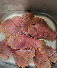 �������ʲô�����������Ϻ����������