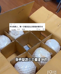 �и���Ҭ��ˮ��һ�俪��������ɫ�����������ܺ�