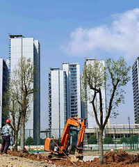 ̨��·���������ṫ԰��Ͷ�ö��ǽ������