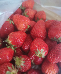 ��ݮΪ����ô���˰�������Ʒ����4��һ��