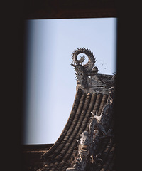 �߹�����̹�����֮���������