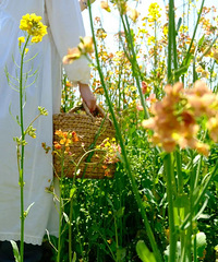 �ո�֤ʵ��������20�棡̨�ݽ�����������̫�̼�����