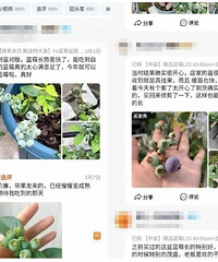 ͻȻ���ˣ���������246%�� �ϰ�æ���ˣ�ÿ�춼������һ����