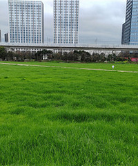 ��˵����̨��С�ɹ�