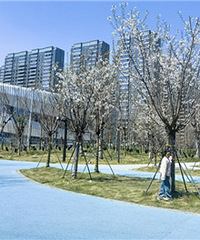 ת�̹�԰ӣ������