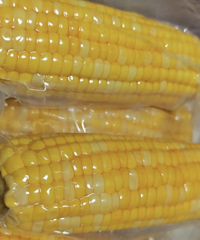 ��װ�����ǡ���ʬ���ס�����Щ������һ��Ҫ֪��