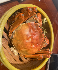 �����ܴ��±Ѽ�о�һ��㣬���ǾƵ�ĳ���������ó�