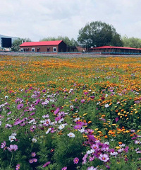 �������������������̨���ˣ��ǵ�ץ������