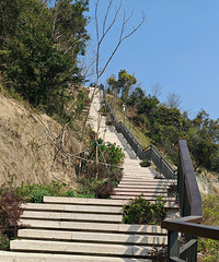 һ�еļ������裬ҧ��ͦ���˾�ûʲô����