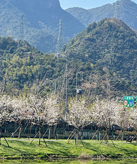 �����ܺ�ԶҲ�ܿ�������ӣ����