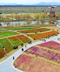 ӭ������С�߷壡̨���������������