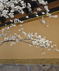 ����ȷ�ϣ�����ִ�̨�ݣ�����ʽ���£��ش����ش���