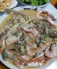 ����ܲ����Ϻƴ��