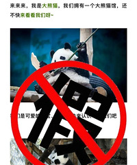 ̨��������ȦҲ��ˢ���ˣ��ٷ���Ϣ�����������Լ�ᡱ�ٵ�