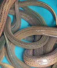 2��Ұ����������800