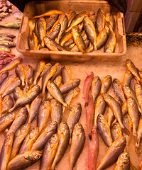 ʮ��̨���ˣ�ʮһ����֪������ʲô