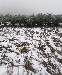 ̫ͻȻ��̨�ݸո���ѩ�ˣ��⡰̫�ټ��ˡ�