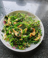 �������ʲô�����ݳ���