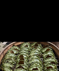 ���Ƽ��������������ű����ֺóԣ�