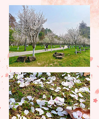 �ٺ������԰��ӣ���ѿ��ã��͵������ˣ�