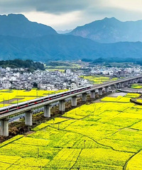 ̤���ʱ�ڣ���������·����С����������Щ�г�