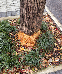 ̨����������Ԯ֧���ſڶ���������������ƻ���