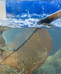 @̨���ˣ�4��1����ȫ���ֹ��