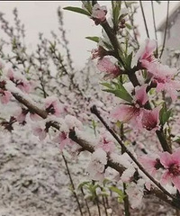 ���»��� ��ӭ��ů��������ҹ�²�ϴ� ע�⡰���桱