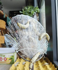 10������գ�ͻȻ���ˣ��㽭���裺���޵Ķ���