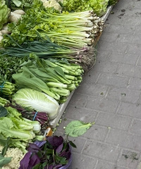 ·������������Լ��ֵ���