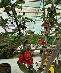 ��ǰ���У�̨�ݲ����۸��е�����