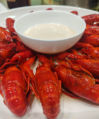 �������ʲô����Ϻ