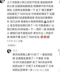 �������߽�����������ҽԺ