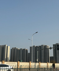 �����ĸ���Ŀ������ͣ����