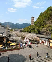 ���������Ĺ���Ӧ�ú��ٰɣ�3�·ݹ���4�³�����ÿ��8�ŷ�����