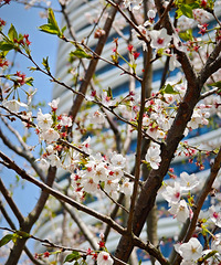 ����ʱ�����������̵��������£�5�½�������������