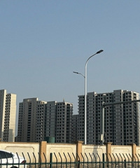 �����ĸ���Ŀ������ͣ����