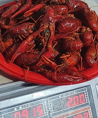 3����Ϻʵ�ʾ��ز�.....