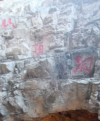 �й��ܿڵ�ɽ��������ַ