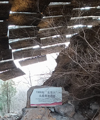 ɽ��������ַ