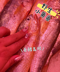 �������ټ�Ұ����Բ�����ǲ˳������Լ۱�