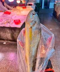 �������ټ�Ұ����Բ�����ǲ˳������Լ۱�