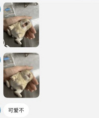 Ц�����ˣ���̨������������ˣ�������400����ˣ�����������