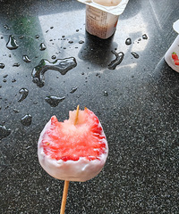 �������ʲô����ݮ���̶�