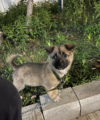 ���۸��᡿����ϲ����ʲôƷ�ֵĹ�