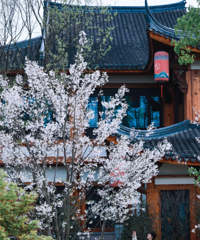 ����������Լ���������Ⲩ������