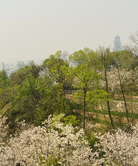 ����ʱ���߽�ӣ��ʢ���İ���ɽ��Ϫ����