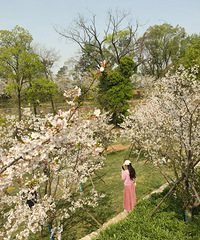 ����ʱ���߽�ӣ��ʢ���İ���ɽ��Ϫ����